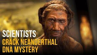 Scientists Solve the Mystery of Neanderthal DNA Found in Humans