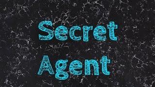 Secret agent adventure