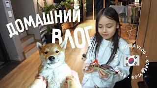 Домашний влог с Такояки и Геликом ^^  Карри райсу по корейски /  KOREA VLOG