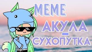 Meme АКУЛА СУХОПУТКА!