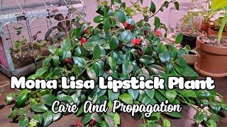 Mona Lisa Lipstick Plant (Aeschynanthus) Care And Propagation!