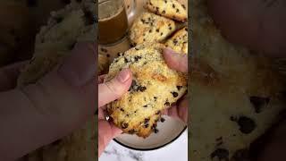 Chocolate Chip Scone Recipe!