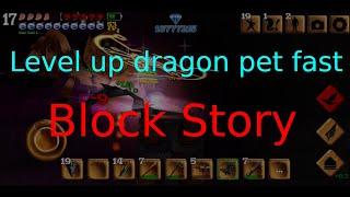 How to Level Up Dragon pet quickly? | Block Story