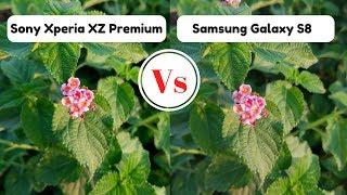 Sony Xperia XZ Premium Camera Vs Samsung Galaxy S8 | Camera Test | Phone With The Best Camera 2017 |