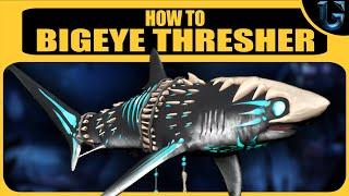 How To Bigeye Thresher Shark In Depth