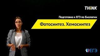 Фотосинтез. Хемосинтез | Подготовка к ЕГЭ по Биологии