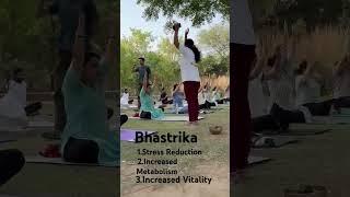 best yoga for stress #bhastrika #yoga#stressrelief#streesreliefmusic#anxiety#anxietyrelief#nature
