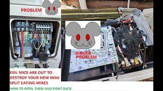 EVIL MICE are here to DESTROY your new mini split heat pump outdoor unit - how to fight back
