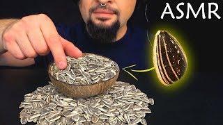 ASMR SUNFLOWER SEEDS - EATING SOUNDS (No Talking) |  