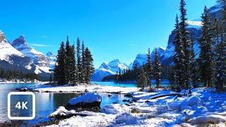 Maligne Lake Winter Ambience at Spirit Island | Canadian Rockies Lakeshore | Relaxing Nature Sounds