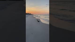 Captivating Sunrise Beach Walk: A Serene Morning Stroll on Emerald Coast