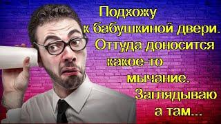 Подхожу к бабушкиной двери. Оттуда доносится какое-то мычание. Заглядываю а там...