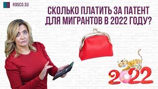 Сколько платить за патент для мигрантов в 2022 году?