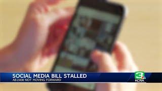 Child safety advocates vow to bring back social media accountability bill