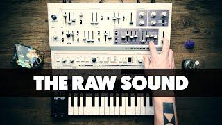 The RAW sound of the UDO AUDIO SUPER 6 (desktop)