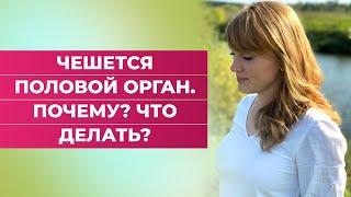 Чешется половой орган. Почему? #shorts #short