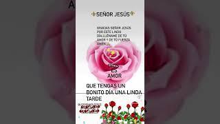 Señor@losgirasoles2022 #lasmariposas_21 @losgirasoles #C#S#G#A#Amor #marines #marin #marina #marino