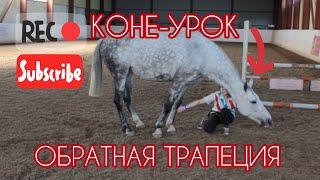 ||LIBERTY TRICKS|| Коне-Урок - Обратная трапеция (Natural horsemanship)