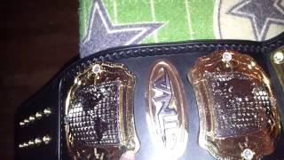 TNA Wildcat replica belt