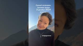 3 декабря 2024 вторник