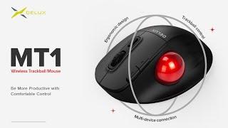 DELUX Wireless Ergo Trackball Mouse