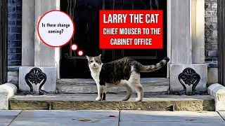 Larry -the Downing Street Cat is change coming?