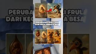 Perubahan Fruli frula dari kecil hingga besar