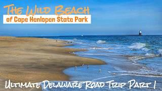 Cape Henlopen & Delaware Seashore State Parks: Delaware Road Trip Part 1