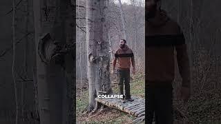 The Treehouse Everyone Dreams Of (camping2day)