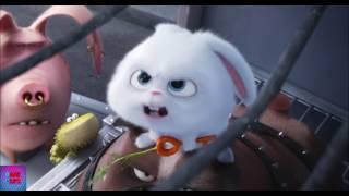 The Secret Life Of Pets  2017  The Revolution (2/5) DopeClips