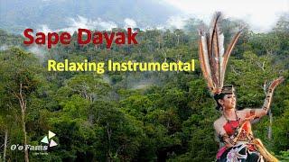 Sape Dayak || Relaxing Instrumental (No Copyright)