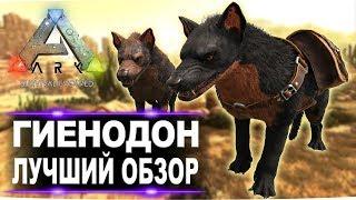 Гиенодон (Hyaenodon) в АРК. Лучший обзор: приручение, разведение и способности  в ark