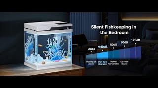 Upgrade Your Aquarium Game with PONDON Smart Fish Tank: Convenience Meets Innovation | pondon.net