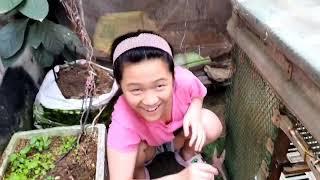 She designed the door of her Cat house. HD