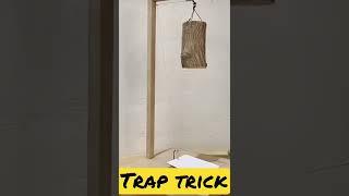 Amazing ideas  #tricks