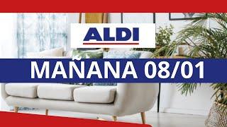 ALDI BAZAR MAÑANA 08/01