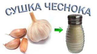 Сушка чеснока. Приготовление чесночного порошка