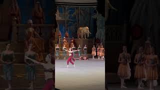 «Баядерка» Анна Никулина #bolshoiballet #dance #балет #russianballet