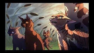 Warriors cats - Все мои друзья входят во вкус - Метеор.