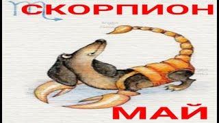 СКОРПИОН. ПРОГНОЗ НА МАЙ 2019.