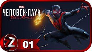 Marvel's Spider-Man: Miles Morales  Паучок - новичок  Прохождение #1