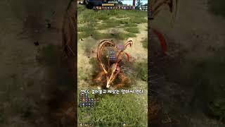 스칼라 VS 전승 자이언트 - 검은사막 PVP