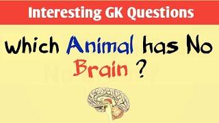 Interesting GK || Interesting GK Questions| GK Questions And Answers