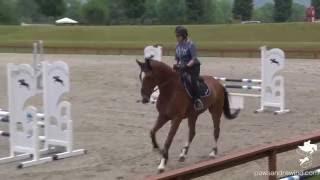 Nona Garson Clinic--Up to 3'6"