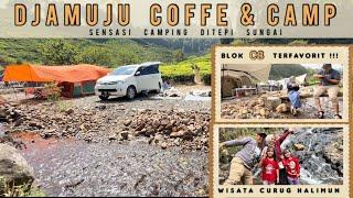 || SENSASI CAMPING DI TEPI SUNGAI || DJAMUJU COFFEE & CAMP BLOK C8 TERFAVORIT‼️