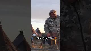 На Ямале продолжают выдавать ветеринарные наборы оленеводам #новости #янао