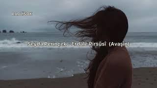 Seyda Perinçek - Erdalê Pirsûsî (Türkçe Çeviri)