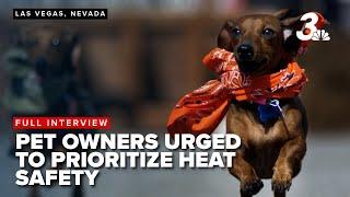 Pet owners urged to prioritize heat safety as summer temperatures soar