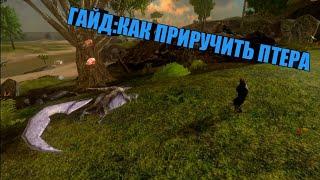 Как приручить "Птера" В Ark Mobile