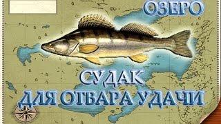 СУДАК для отвара удачи. Русская рыбалка 3.99